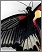 Veranstaltungstechnik für 'Madama Butterfly - Musikfestival Steyr' Logo/Plakat/Flyer für 'Madama Butterfly - Musikfestival Steyr' öffnen... (MEB Veranstaltungstechnik / Eventtechnik)
